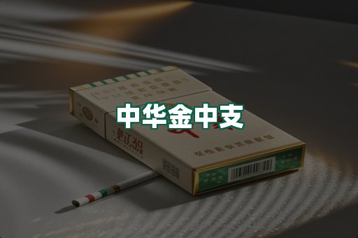中华金中支
